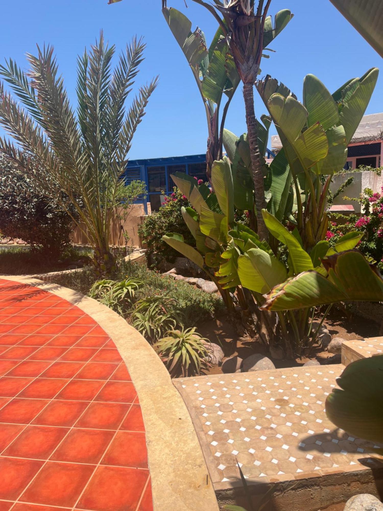Hotel Mimid Dunes Beach Mirleft Exterior foto