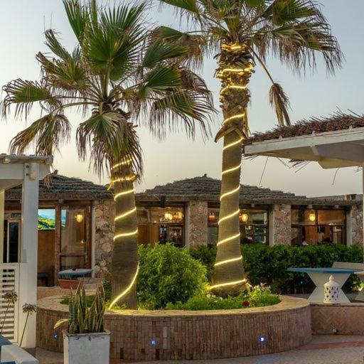 Hotel Mimid Dunes Beach Mirleft Exterior foto